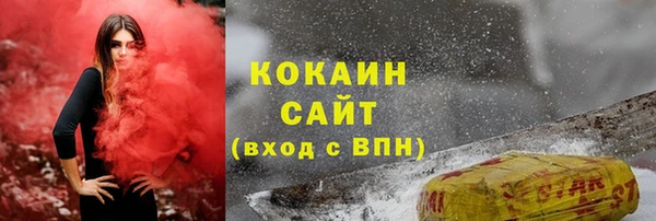 винт Верея